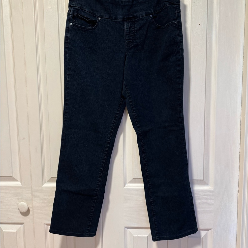 Jag Jeans Women's Dark Blue Pull-On